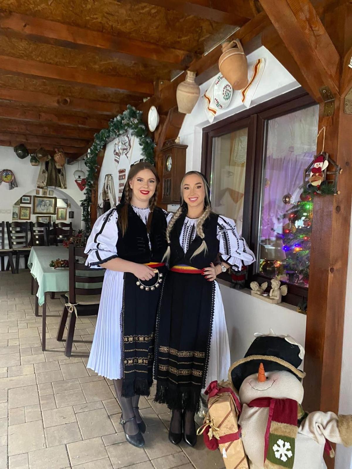Pensiunea Domnescu Sălişte Kültér fotó