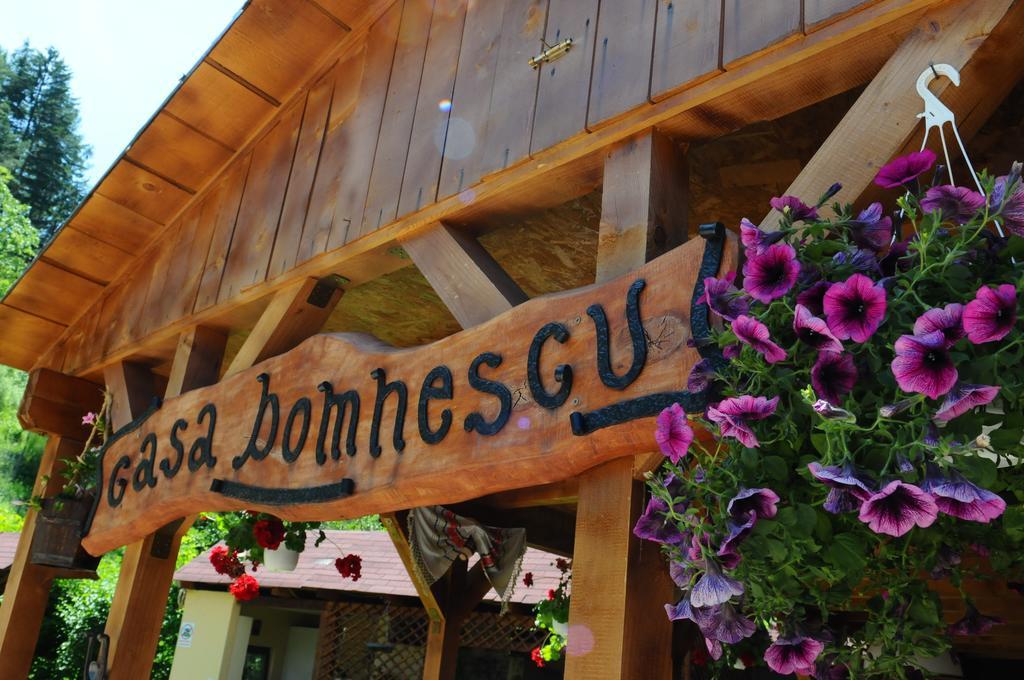 Pensiunea Domnescu Sălişte Kültér fotó