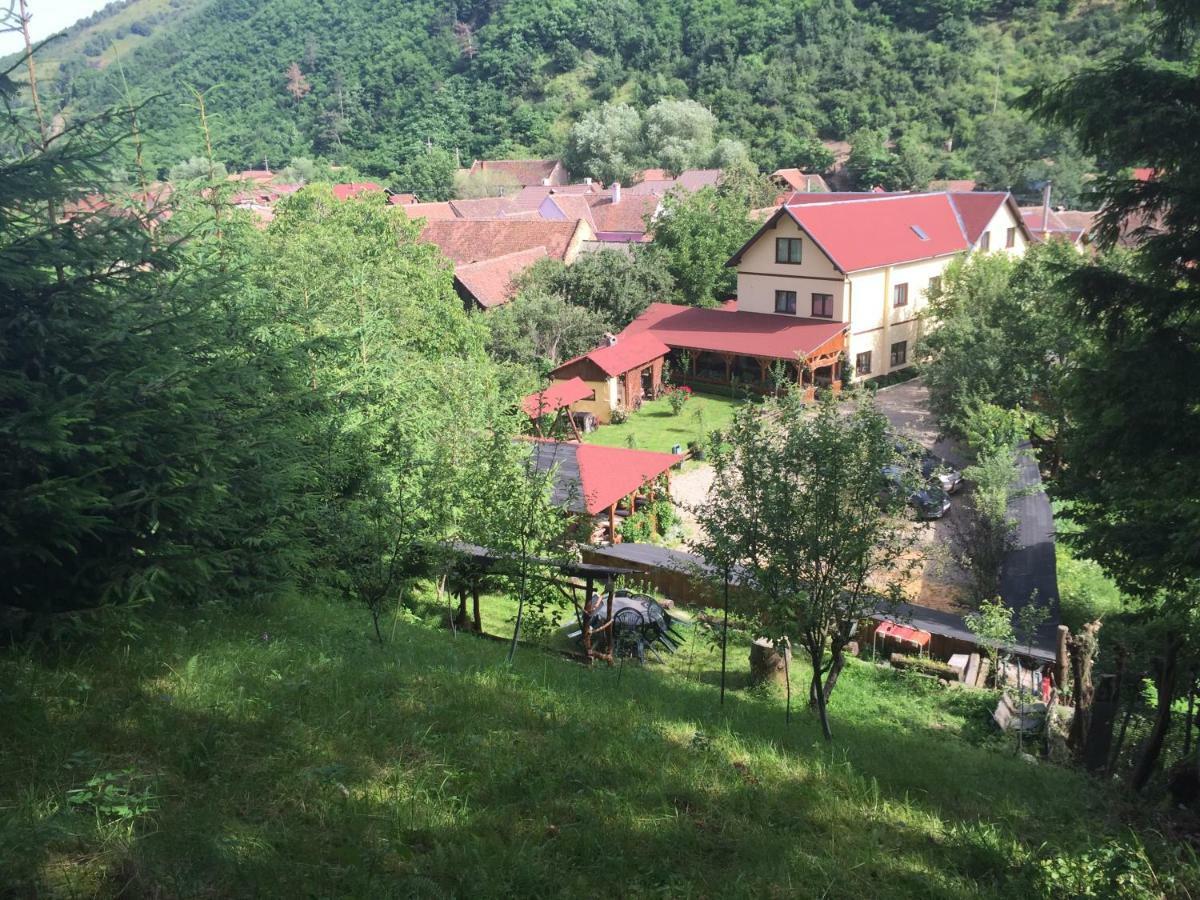 Pensiunea Domnescu Sălişte Kültér fotó
